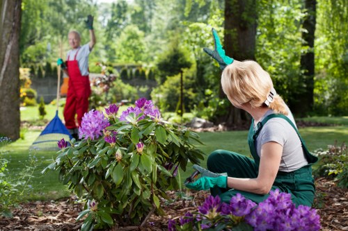 Lawn mowing service in Forest Hill front garden
