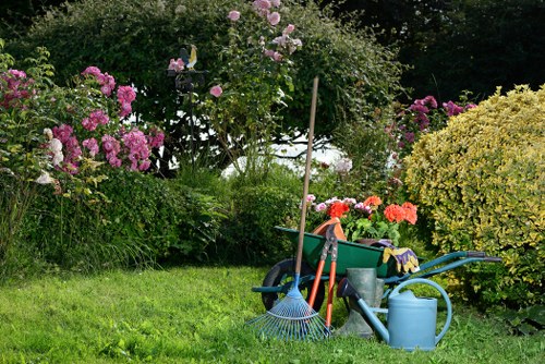 Pristine lawn showcasing professional mowing