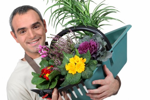 Lush green lawn maintained by experts